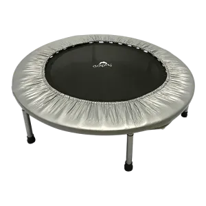 Dolphy 40 Inch Indoor Trampoline - Silver and Black