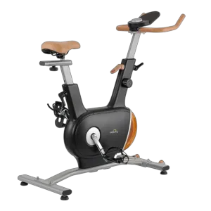 Dolphy  Double Flywheel Exercise Bike