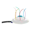 Dolphy Kids Water Toy Chng