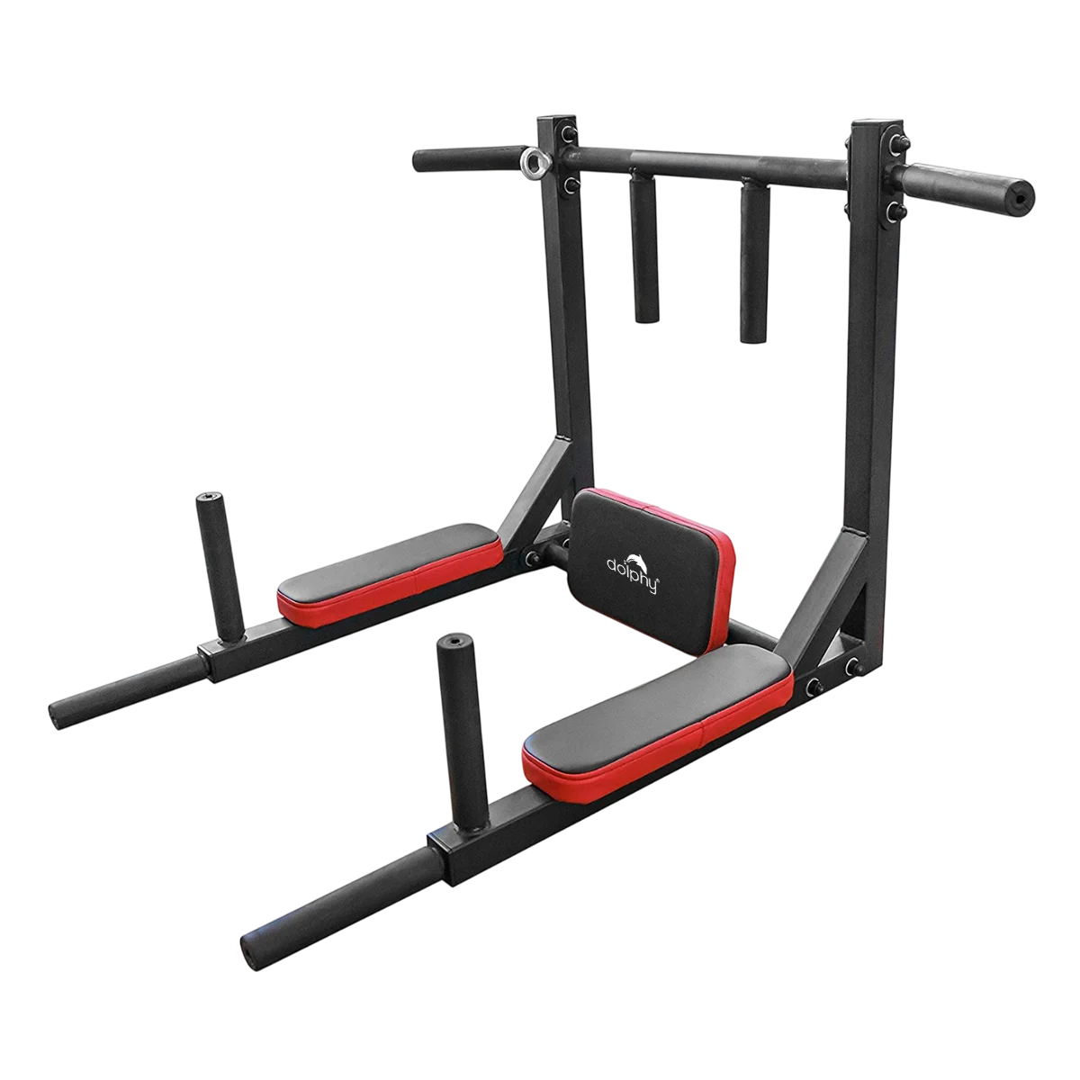 Dolphy 3 in 1 Wall Mounted Pull-Up & Dip Station for Home use