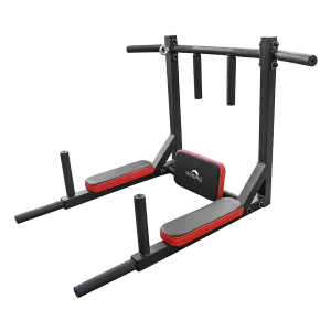 Dolphy 3 in 1 Wall Mounted Pull-Up & Dip Station for Home use