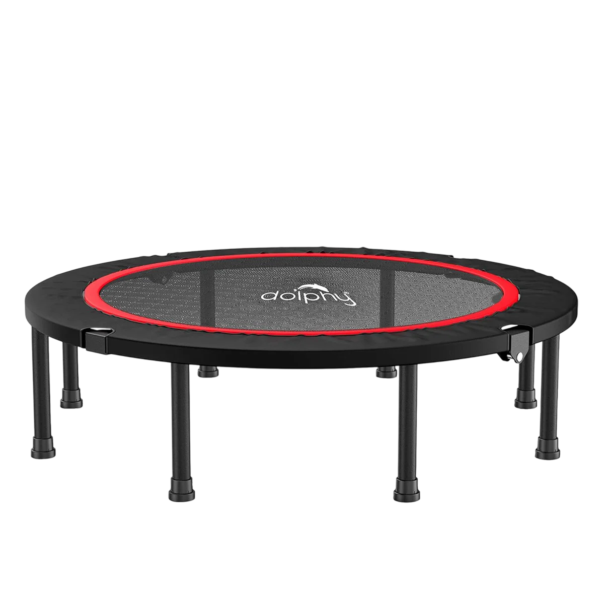 Dolphy 48 inch Foldable Mini Rebounder with Safety Pad