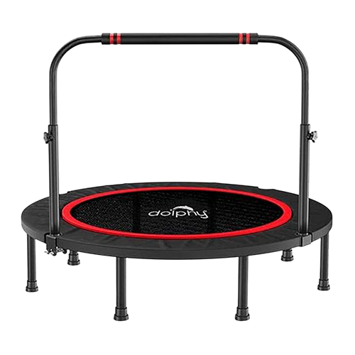 Dolphy 48 Inch Foldable Mini Rebounder with Safety Pad and Adjustable Handle