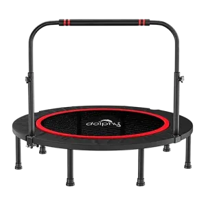 Dolphy 48 Inch Foldable Mini Rebounder with Safety Pad and Adjustable Handle