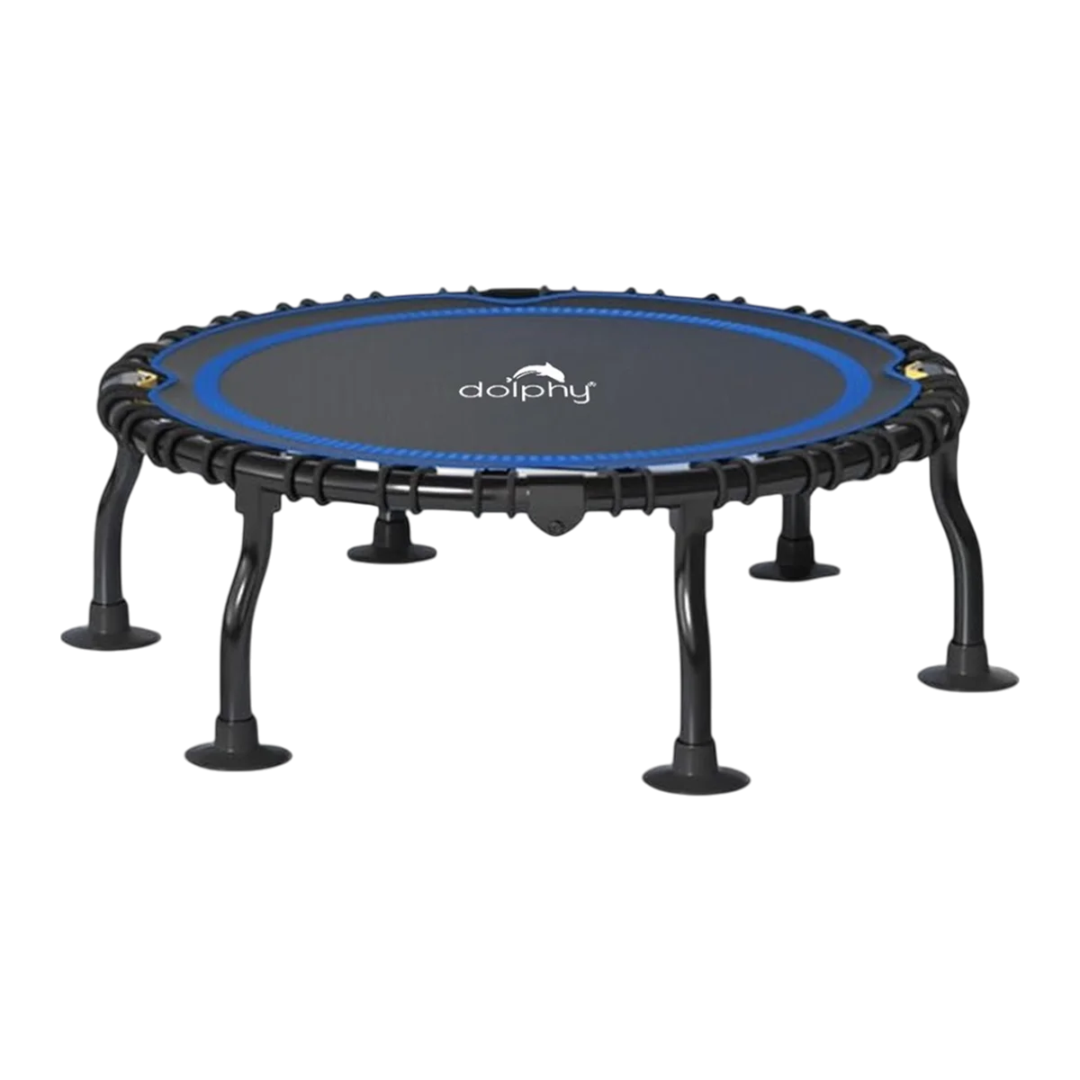 Dolphy 40 inch Foldable Bungee Rebounder
