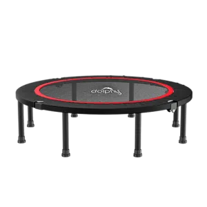 Dolphy 48 inch Foldable Mini Rebounder with Safety Pad