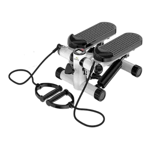 Dolphy Twist Stepper Machine