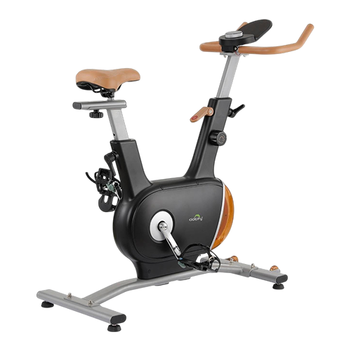 Dolphy  Double Flywheel Exercise Bike