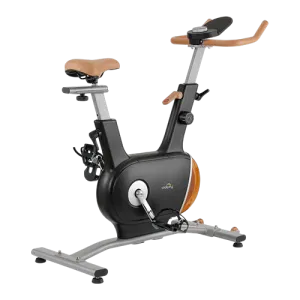 Dolphy  Double Flywheel Exercise Bike